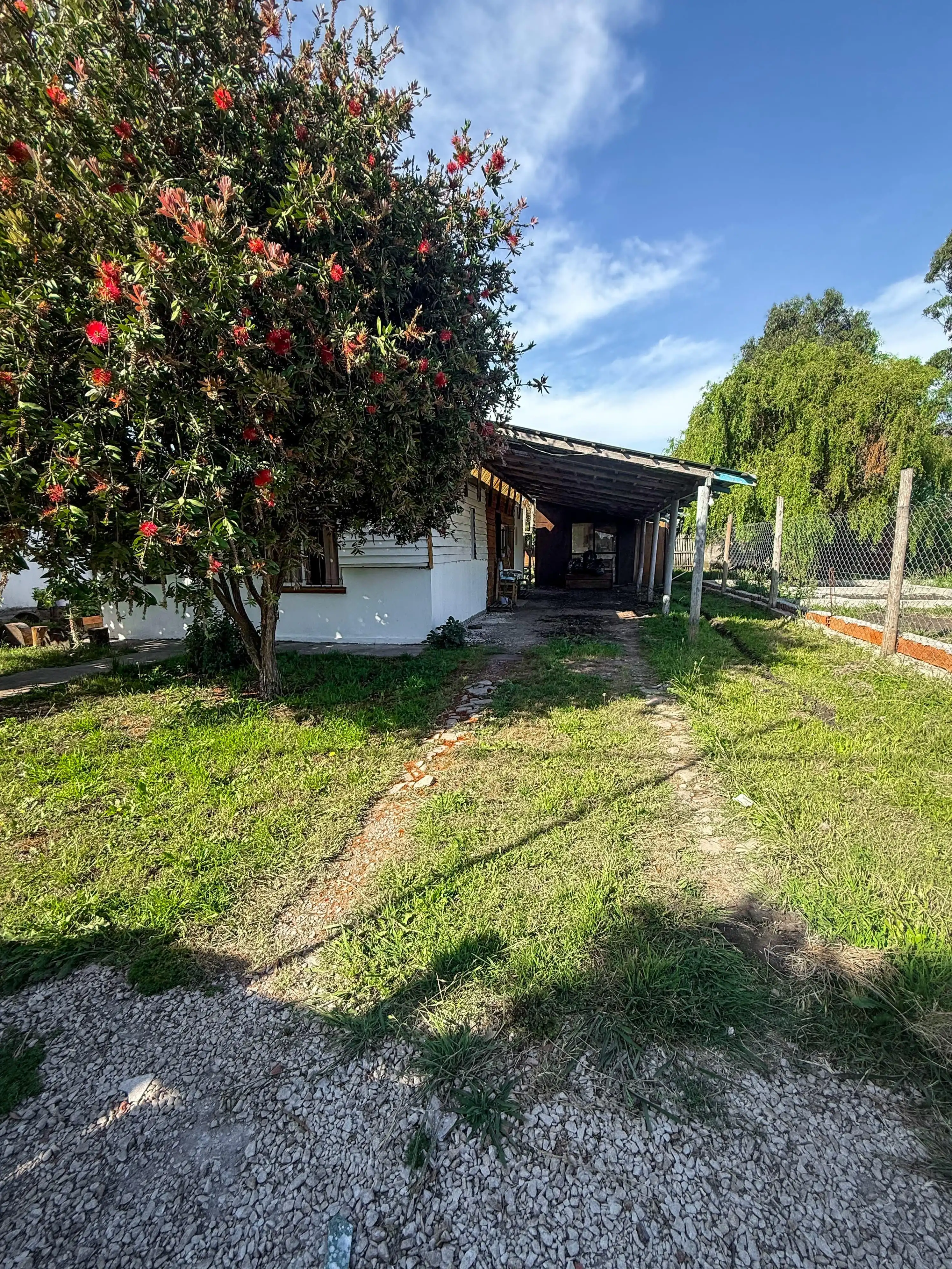 Casa B — jardín